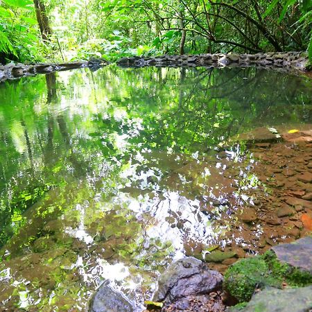 Nomada Republic Hotel El Valle El Valle de Anton Ngoại thất bức ảnh